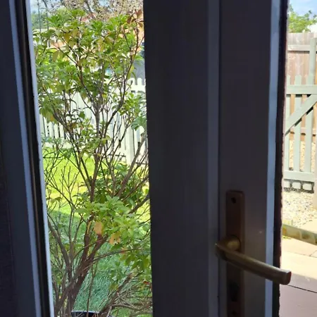 Cosy Single هاروغايت