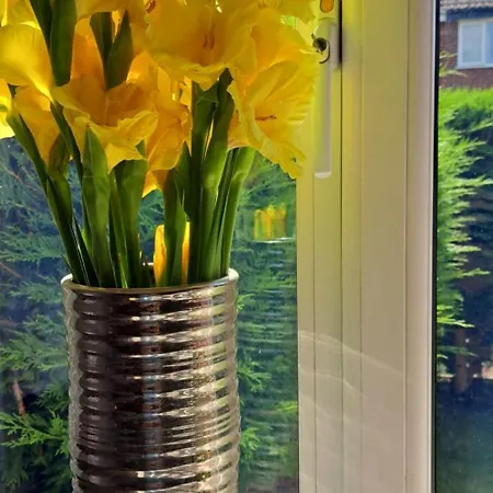 ホームステイ Cosy Single ハロゲート