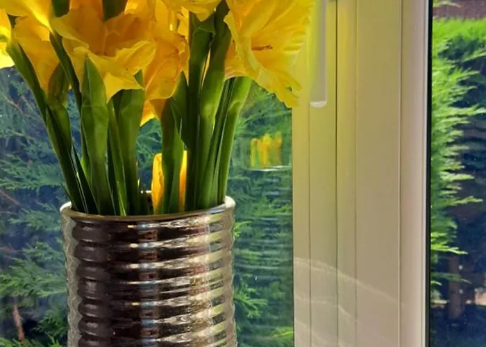 ホームステイ Cosy Single ハロゲート