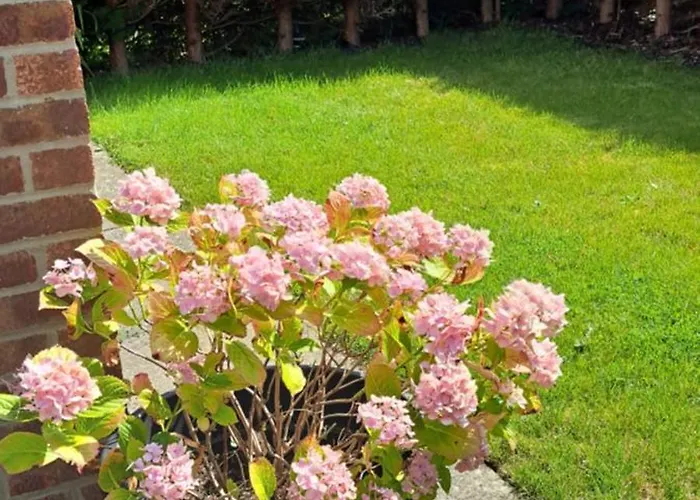 ホームステイ Cosy Single ハロゲート